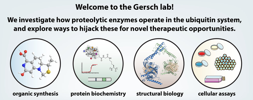 Chemical biology of proteolysis in the ubiquitin system